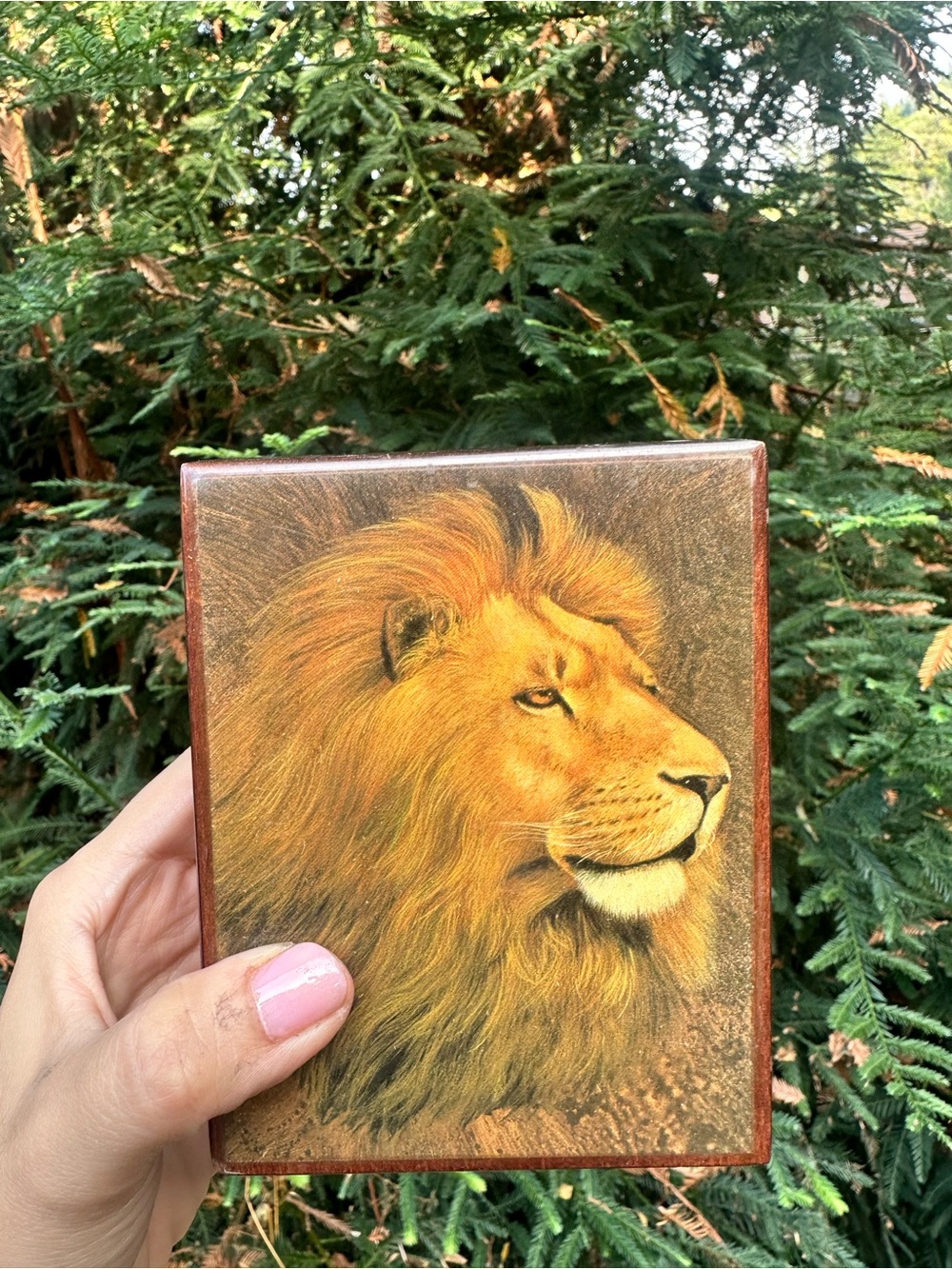 Vintage Unique Lion Print Trinket Box Music BoX Decor